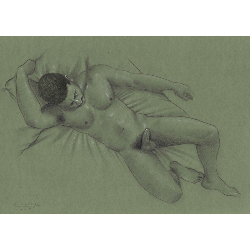 Obra original - Daniel El Dibujo