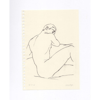 Obra original - Daniel El Dibujo