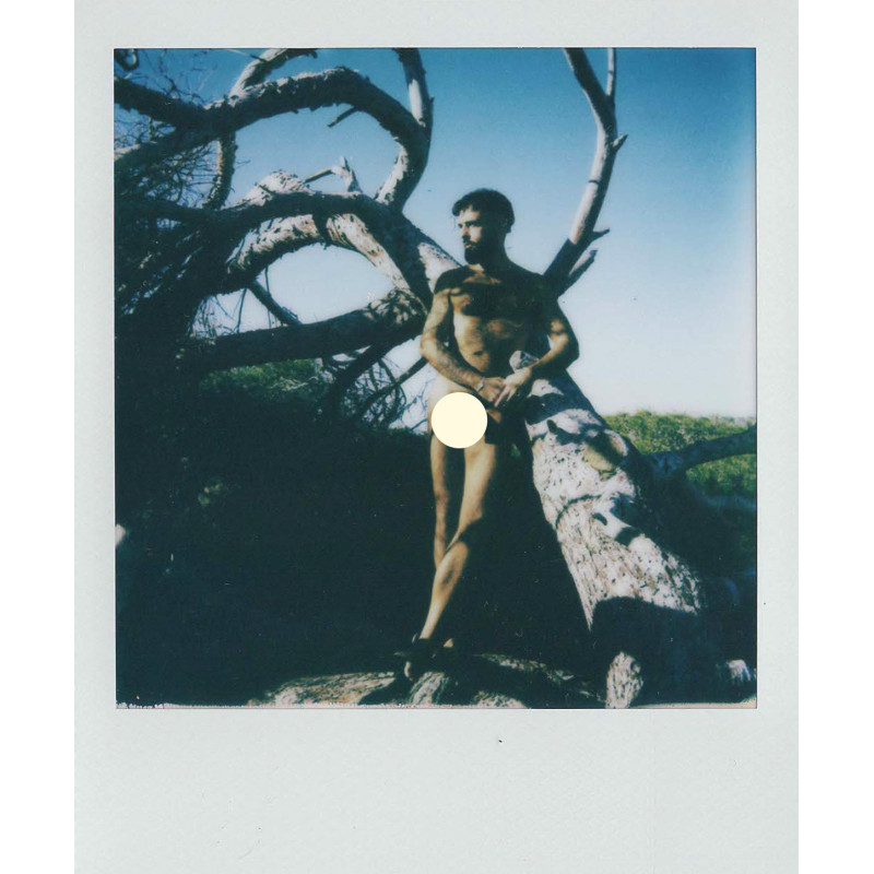 Polaroid Daniel El Dibujo