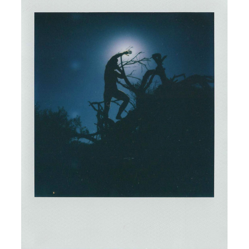 Polaroid Daniel El Dibujo