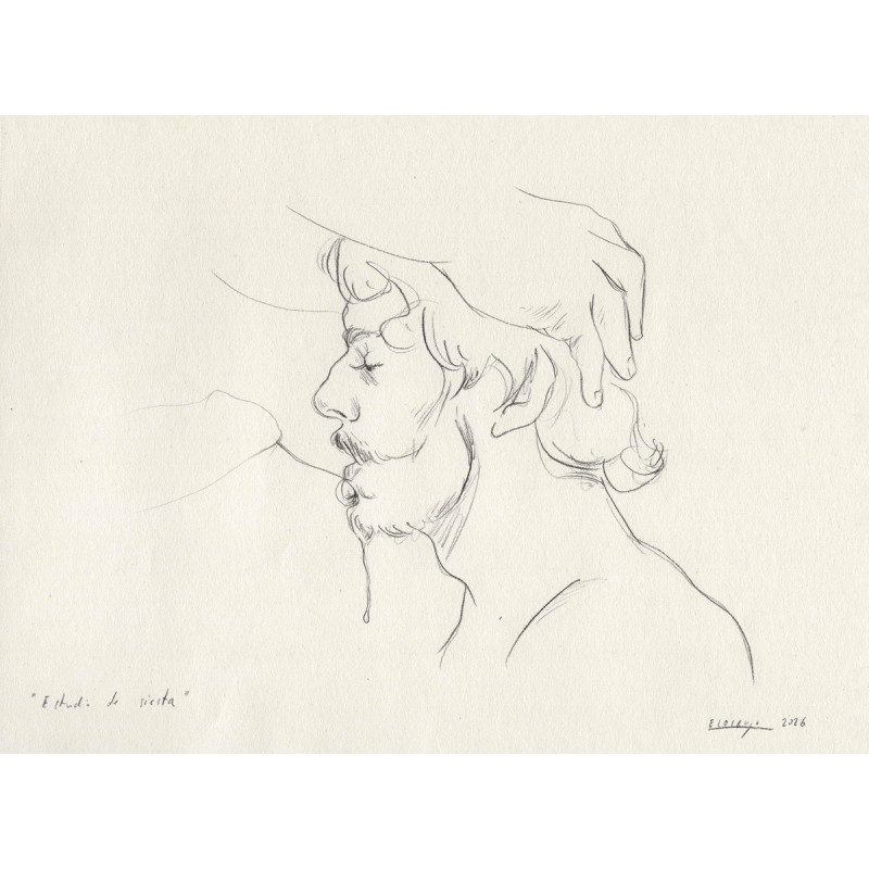 Obra original - Daniel El Dibujo