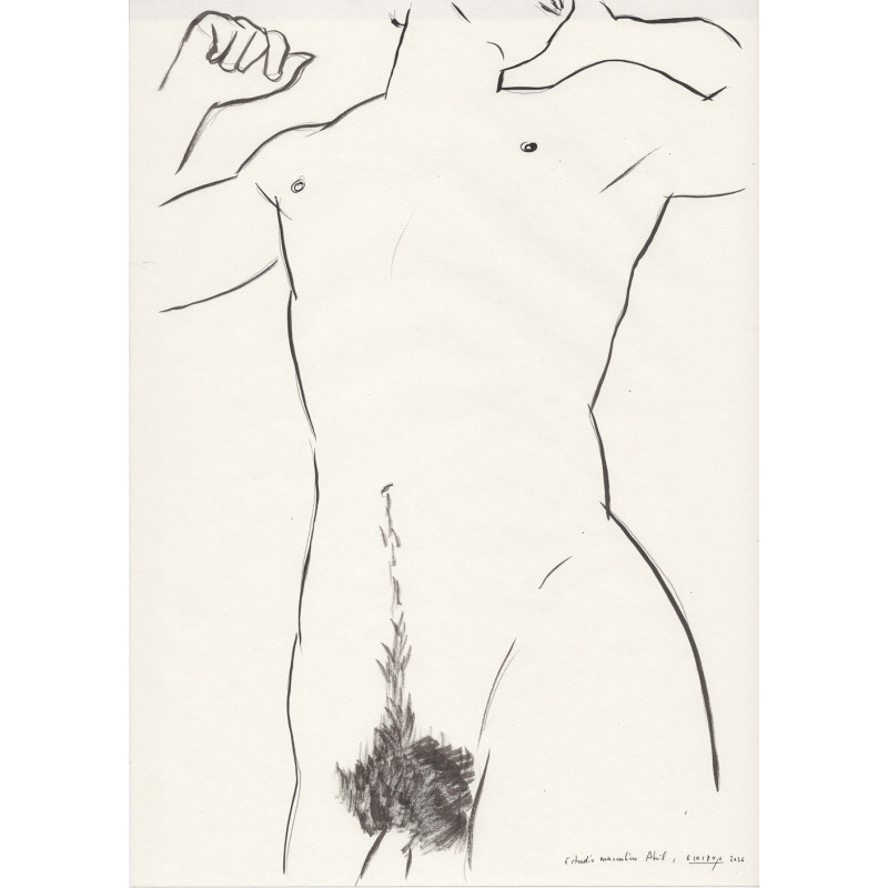 Obra original - Daniel El Dibujo