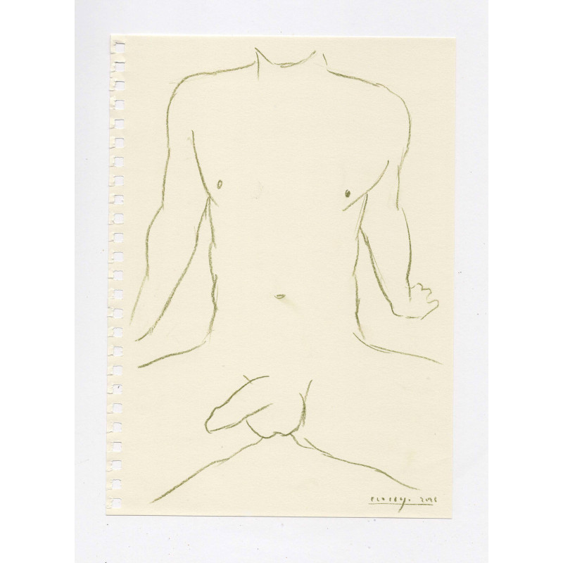 Obra original - Daniel El Dibujo