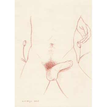 Obra original - Daniel El Dibujo
