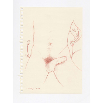 Obra original - Daniel El Dibujo