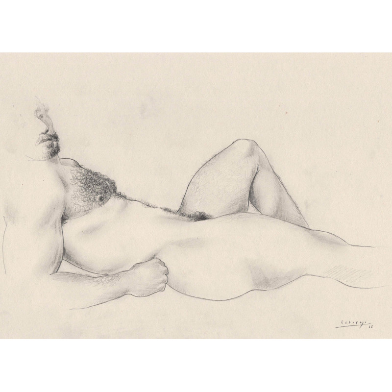 Obra original - Daniel El Dibujo