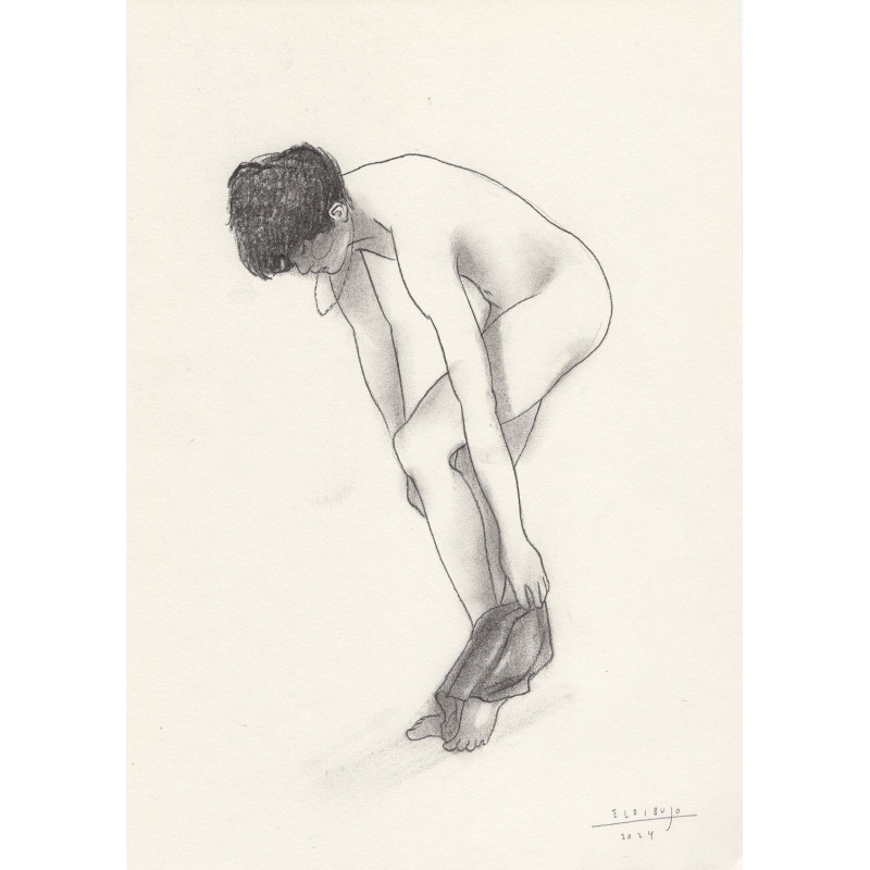Obra original - Daniel El Dibujo