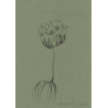 Original work - Daniel El Dibujo