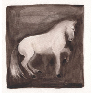 BOCETO DE CABALLO