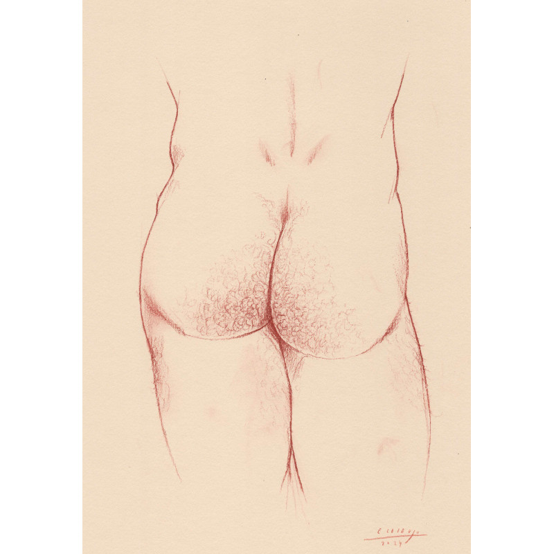 Obra original - Daniel El Dibujo