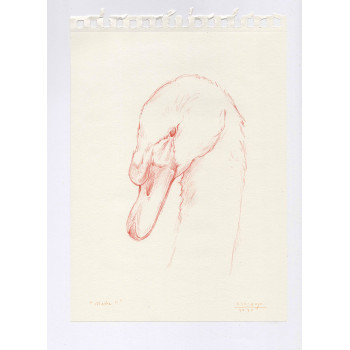 Obra original - Daniel El Dibujo