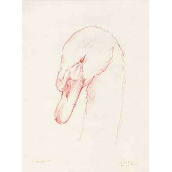 Obra original - Daniel El Dibujo