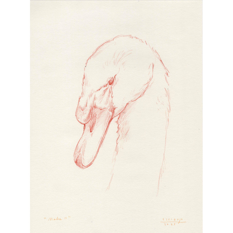 Obra original - Daniel El Dibujo