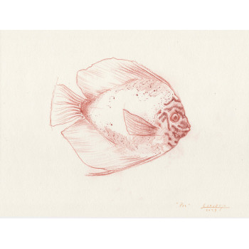 Original work - Daniel El Dibujo