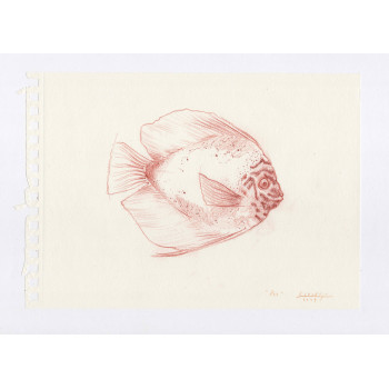 Original work - Daniel El Dibujo