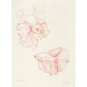 Original work - Daniel El Dibujo