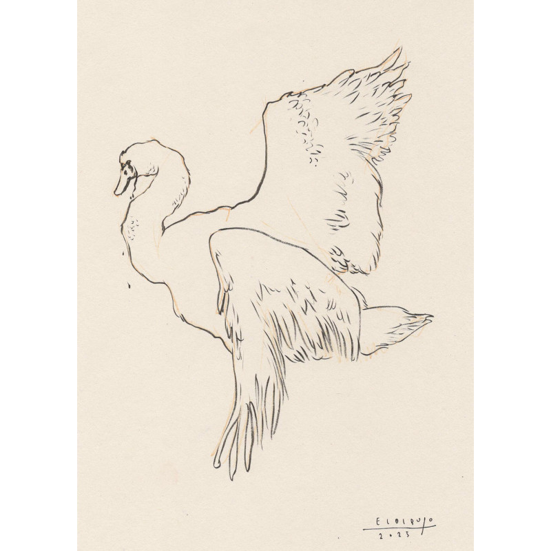 Original work - Daniel El Dibujo