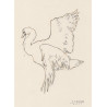 Original work - Daniel El Dibujo
