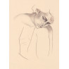 Original work - Daniel El Dibujo