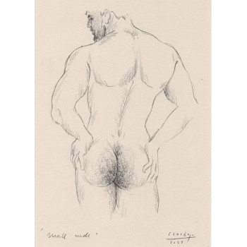 Obra original - Daniel El Dibujo