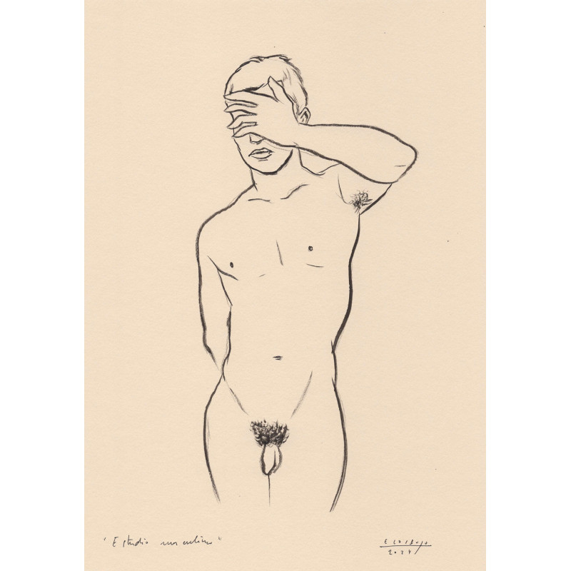Obra original - Daniel El Dibujo