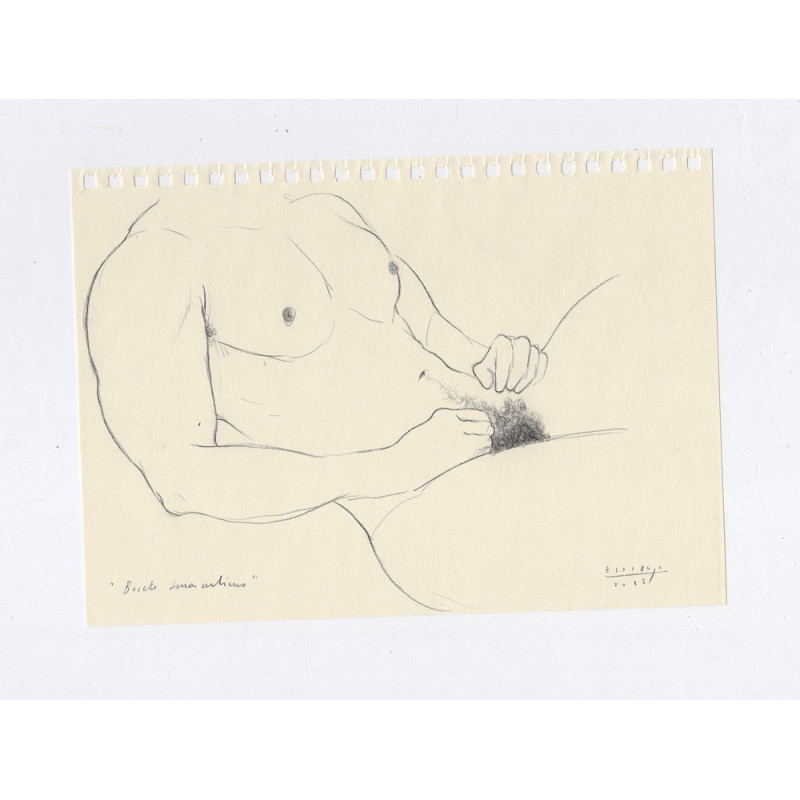 Obra original - Daniel El Dibujo