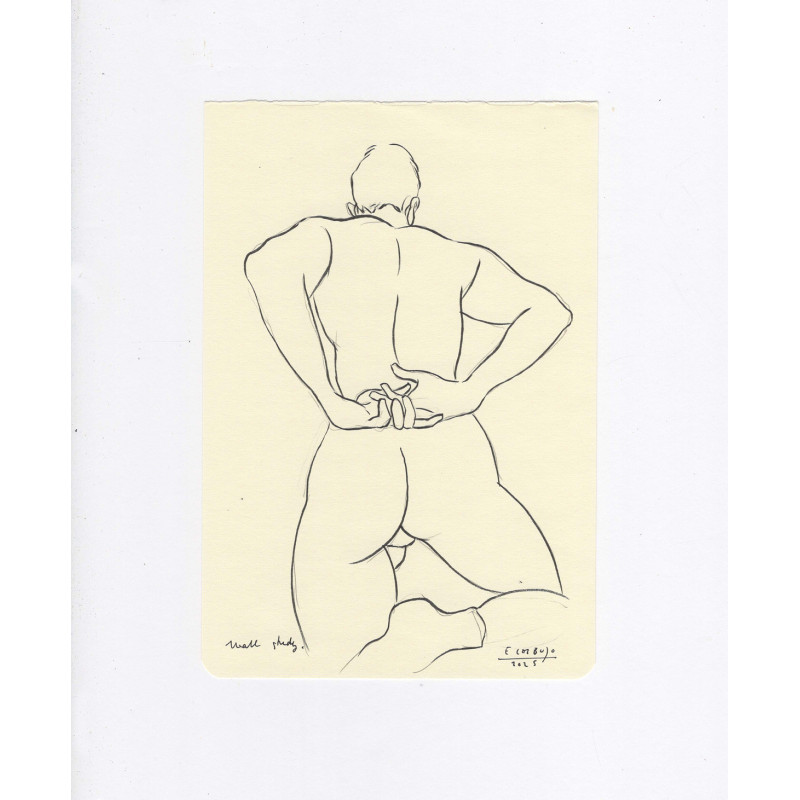 Obra original - Daniel El Dibujo