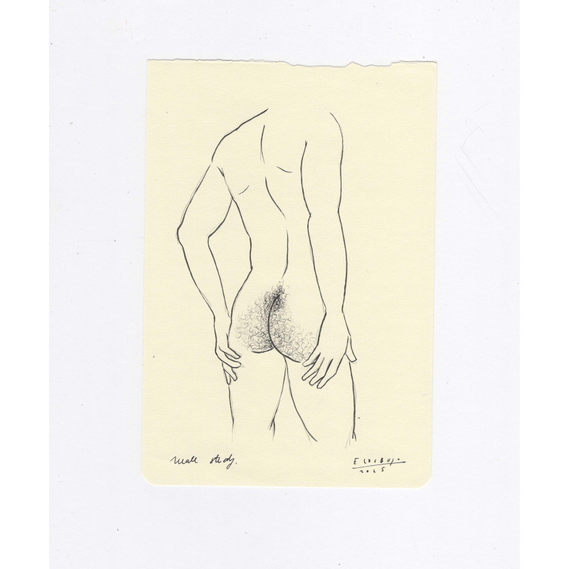 Obra original - Daniel El Dibujo