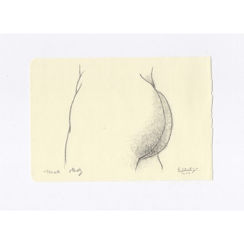 Obra original - Daniel El Dibujo