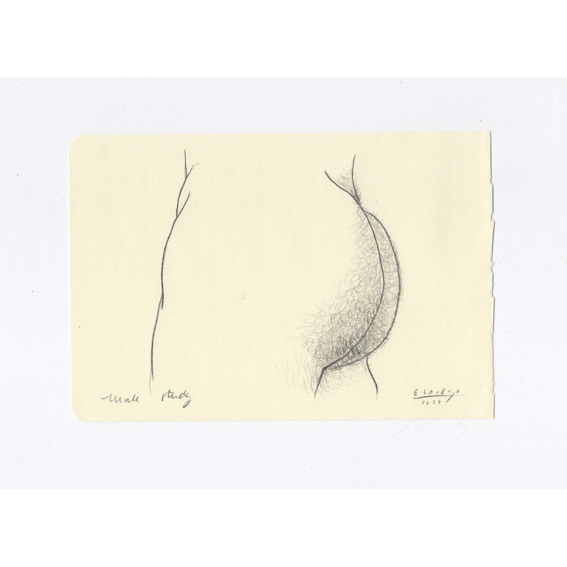 Obra original - Daniel El Dibujo