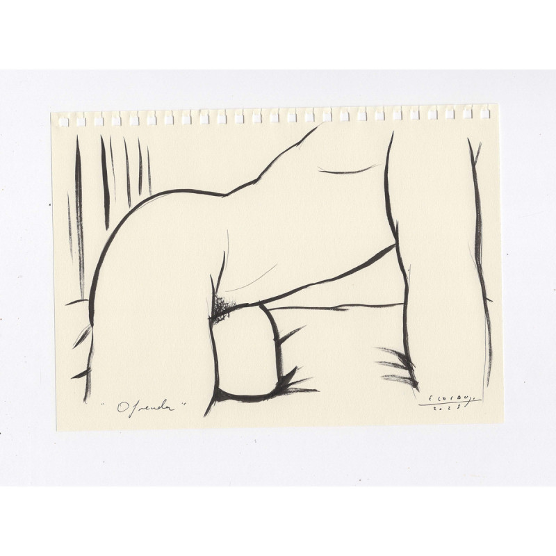 Obra original - Daniel El Dibujo