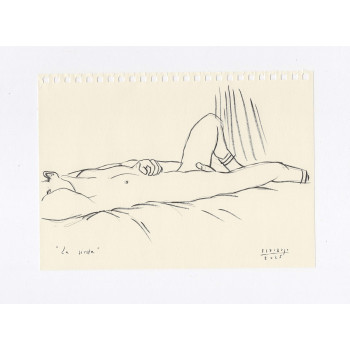 Obra original - Daniel El Dibujo