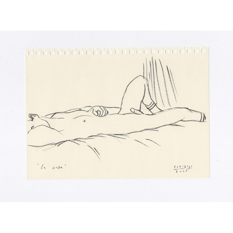 Obra original - Daniel El Dibujo