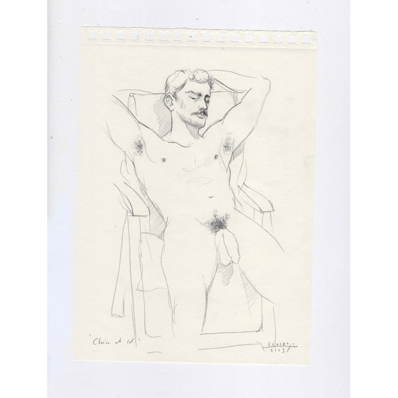 Obra original - Daniel El Dibujo