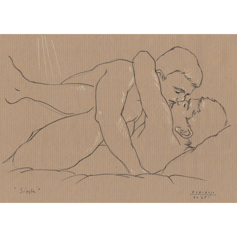 Obra original - Daniel El Dibujo