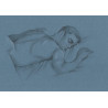 Original work - Daniel El Dibujo